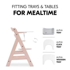 Hauck Alpha+B Hochstuhl -Geschäft Für Babyprodukte 4007923661314.pt09.alpha rose